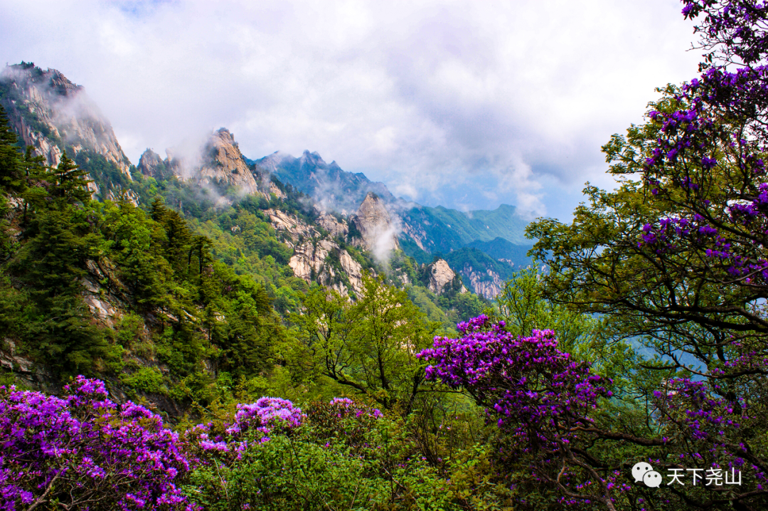尧山旅游日，全民游尧山