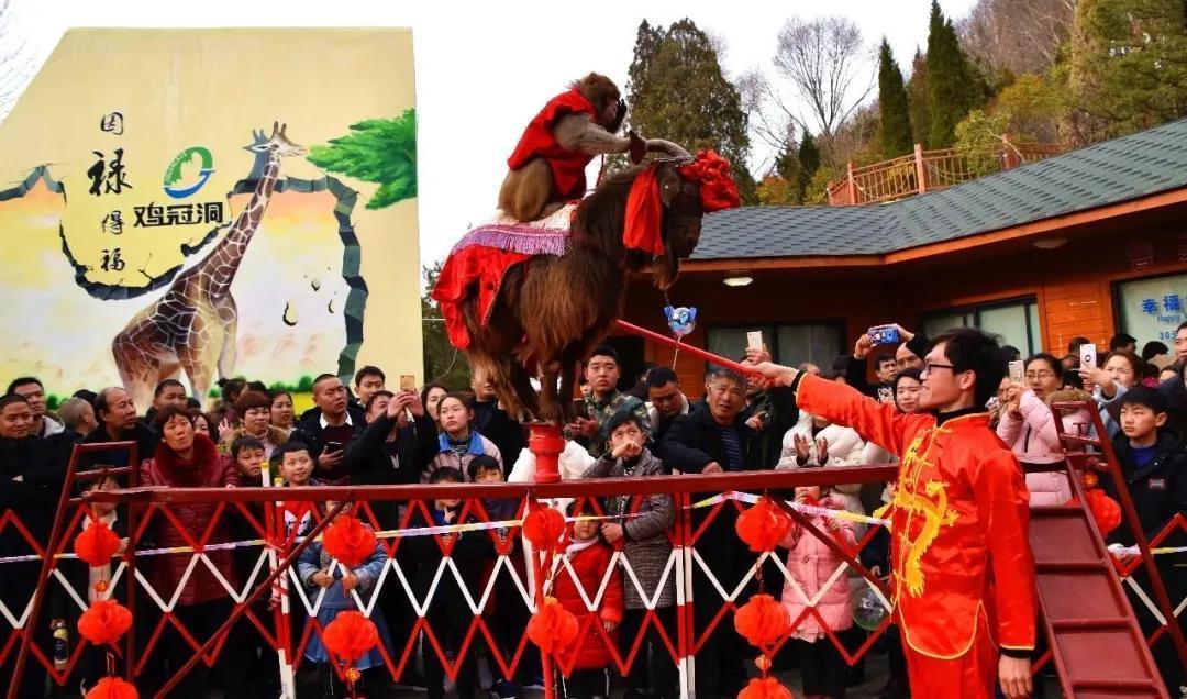 盛大开启！2021鸡冠洞清凉避暑季，尽享18°C的暑期狂欢！