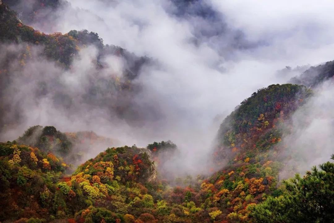 重磅！一元游欒川，即將開啟！奇境欒川感恩回饋！