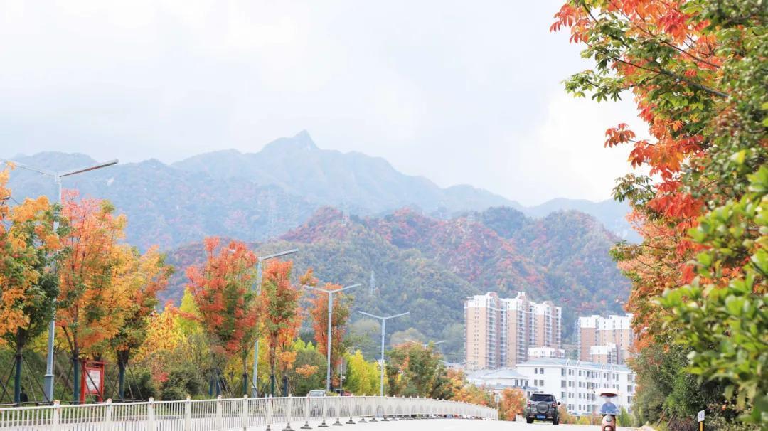 重磅！一元游欒川，即將開啟！奇境欒川感恩回饋！