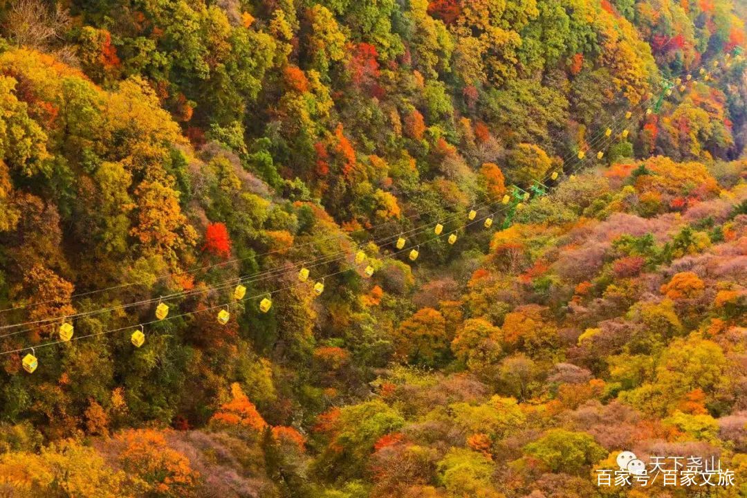 大美尧山，随秋天一同沉醉！