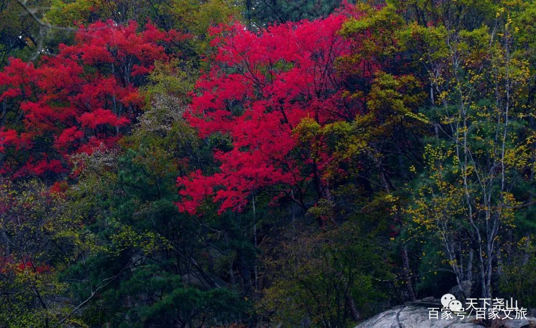 大美尧山，随秋天一同沉醉！