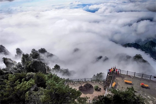 当秋色遇上云海，你一定想不到入秋的老君山居然这么美!