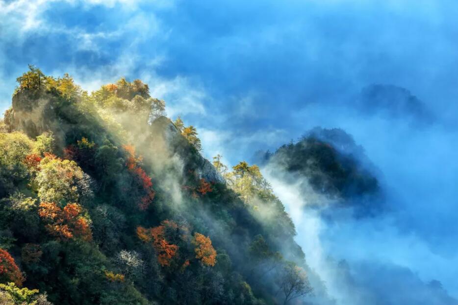当秋色遇上云海，你一定想不到入秋的老君山居然这么美!