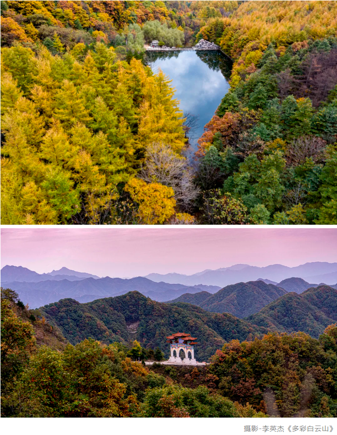 开园公告丨攒足了思念，洛阳白云山的美景终于与您再度相逢！