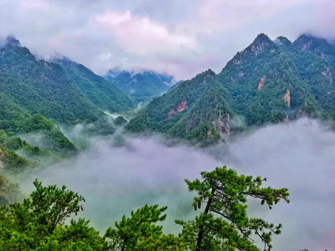 秋意渐浓，老界岭免票正当时！