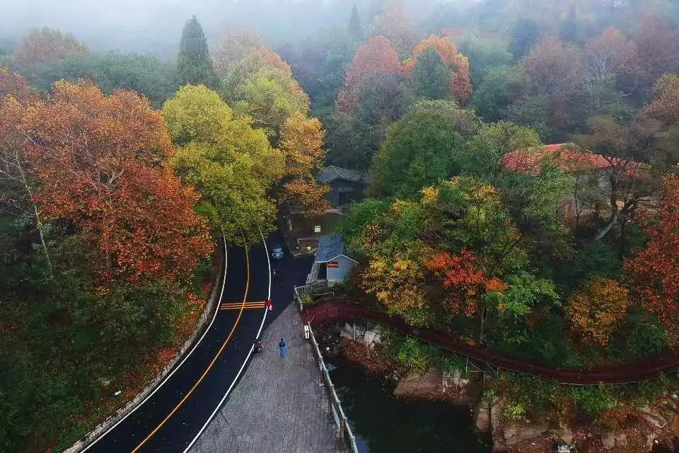 喜迎祖国华诞 致敬英雄楷模— 鸡公山景区推出免票和优惠政策