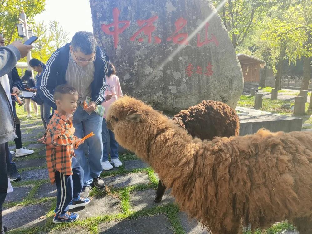 假期余额不足？白云山错峰出游正当时！