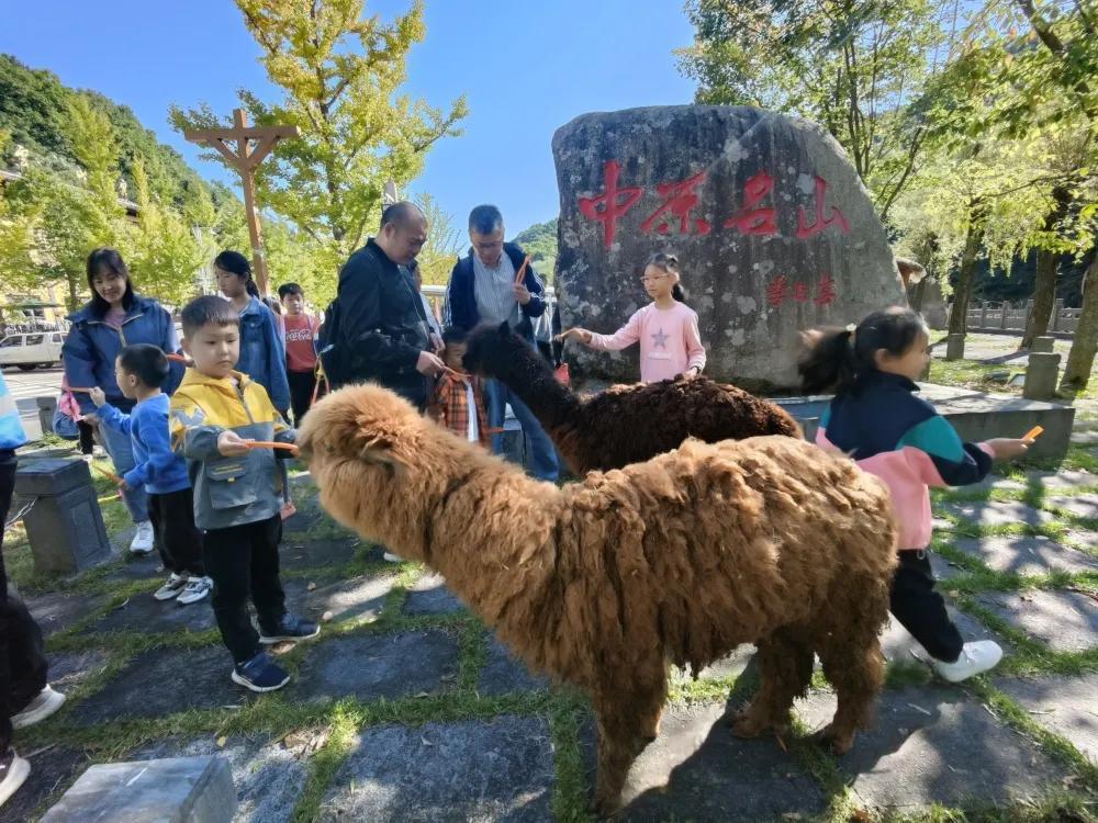 假期余额不足？白云山错峰出游正当时！