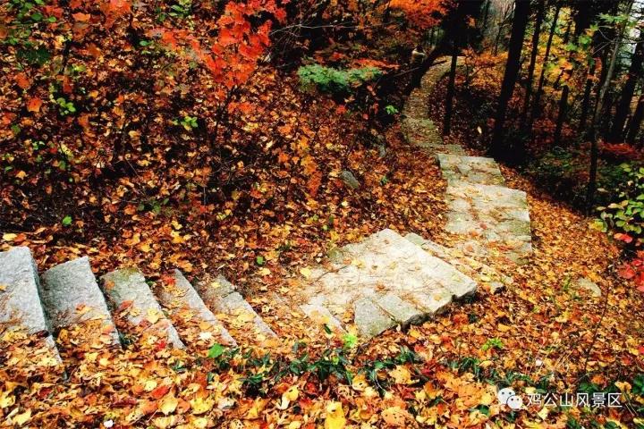 公告|鸡公山景区“金九银十”惠民月红叶节免票活动