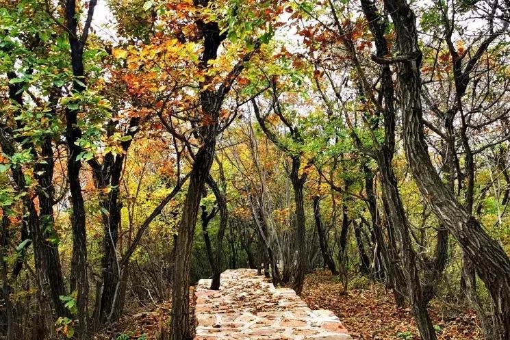 九九重阳，一起来仙门山登高望远，赏秋景，赢大奖！