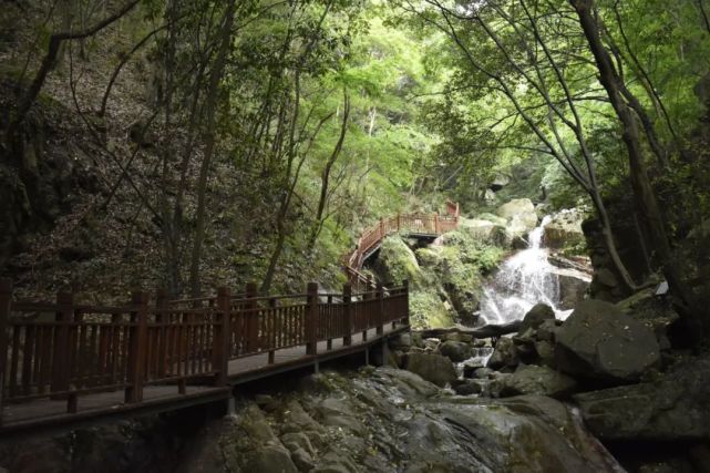 【5A创建】带您感受鸡公山5A创建中的变化——景观提升