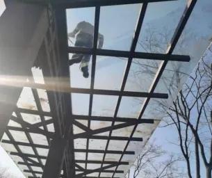 「5A创建」鸡公山创建国家5A级旅游景区工作纪实（四十）