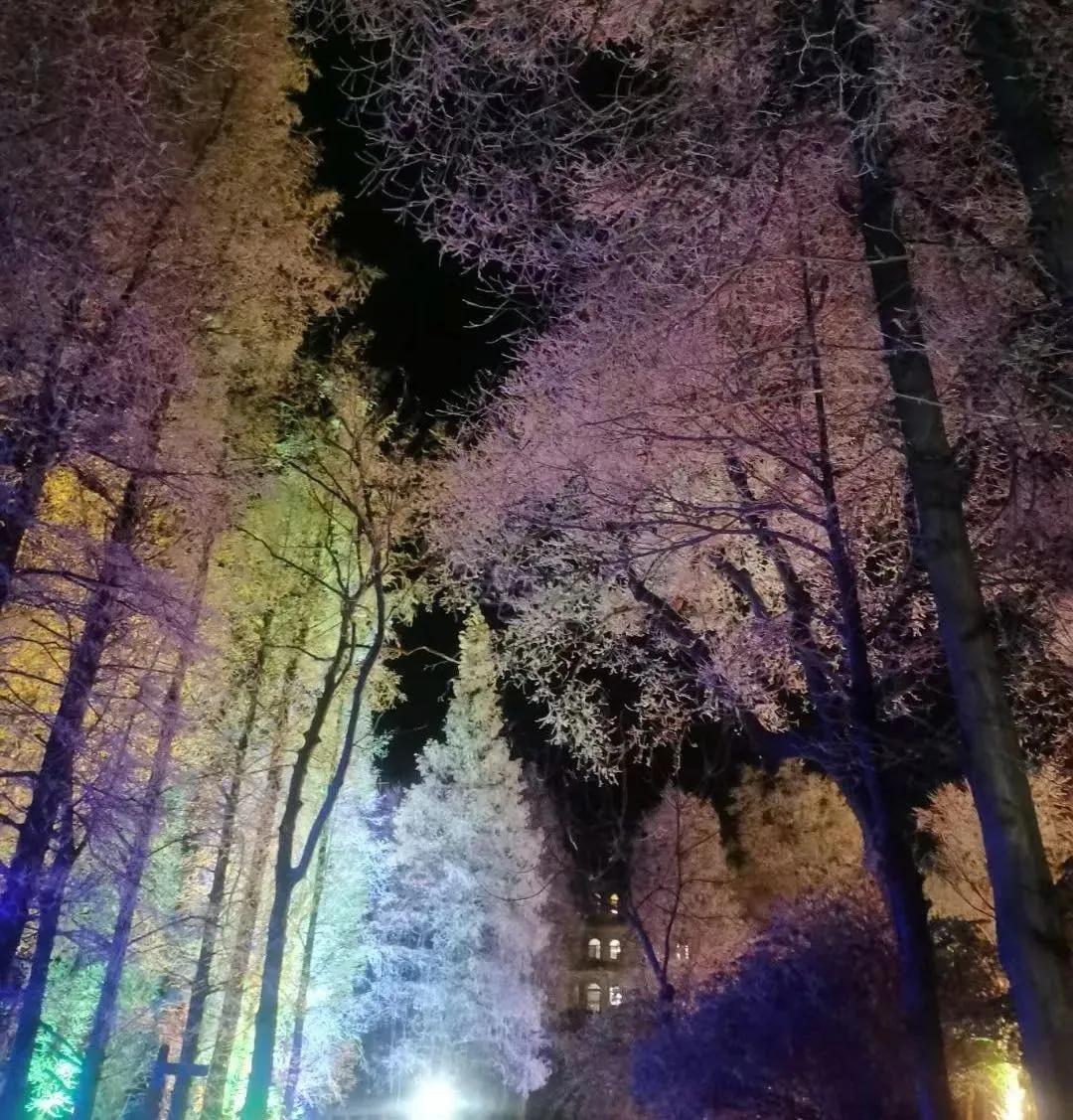 雪柳绽银菊 玉树煮琼花—鸡公山写给冬天的诗