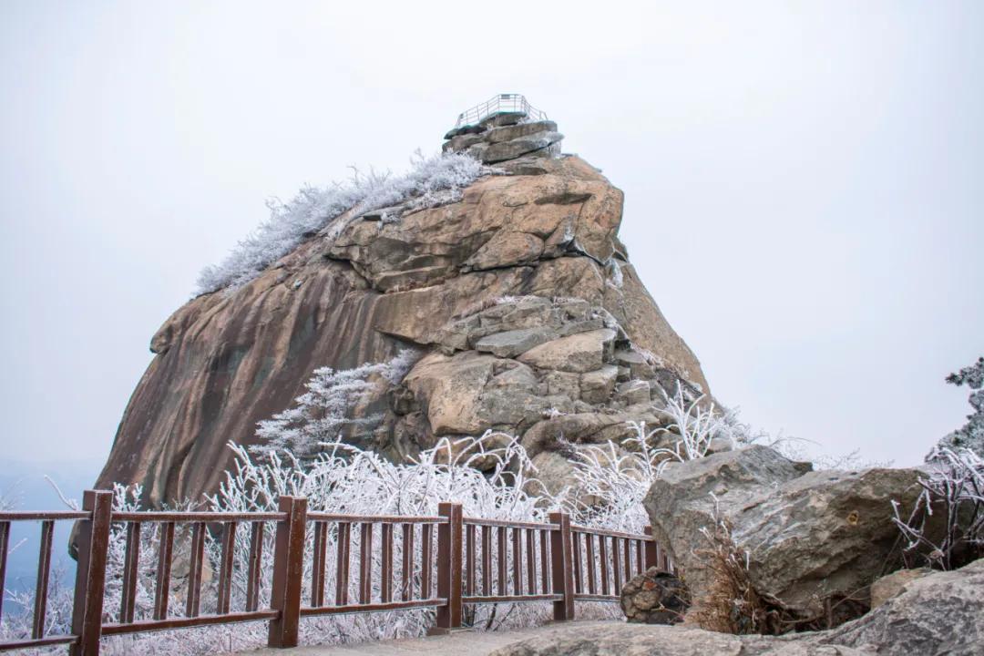 雪柳绽银菊 玉树煮琼花—鸡公山写给冬天的诗