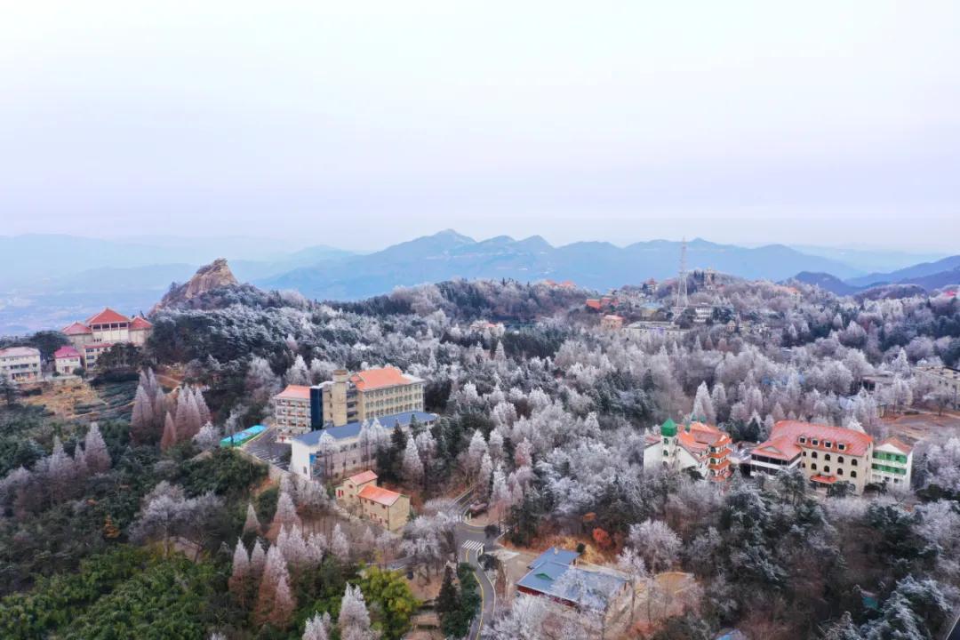 雪柳绽银菊 玉树煮琼花—鸡公山写给冬天的诗