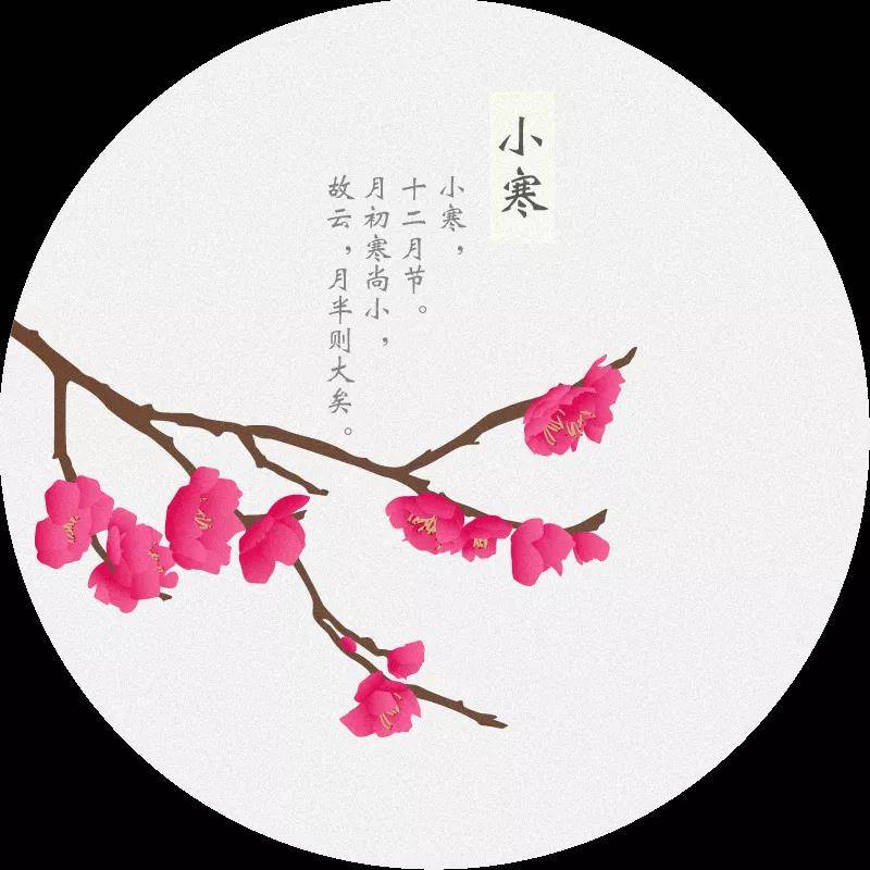 小寒|愿你三冬暖，许你春不寒