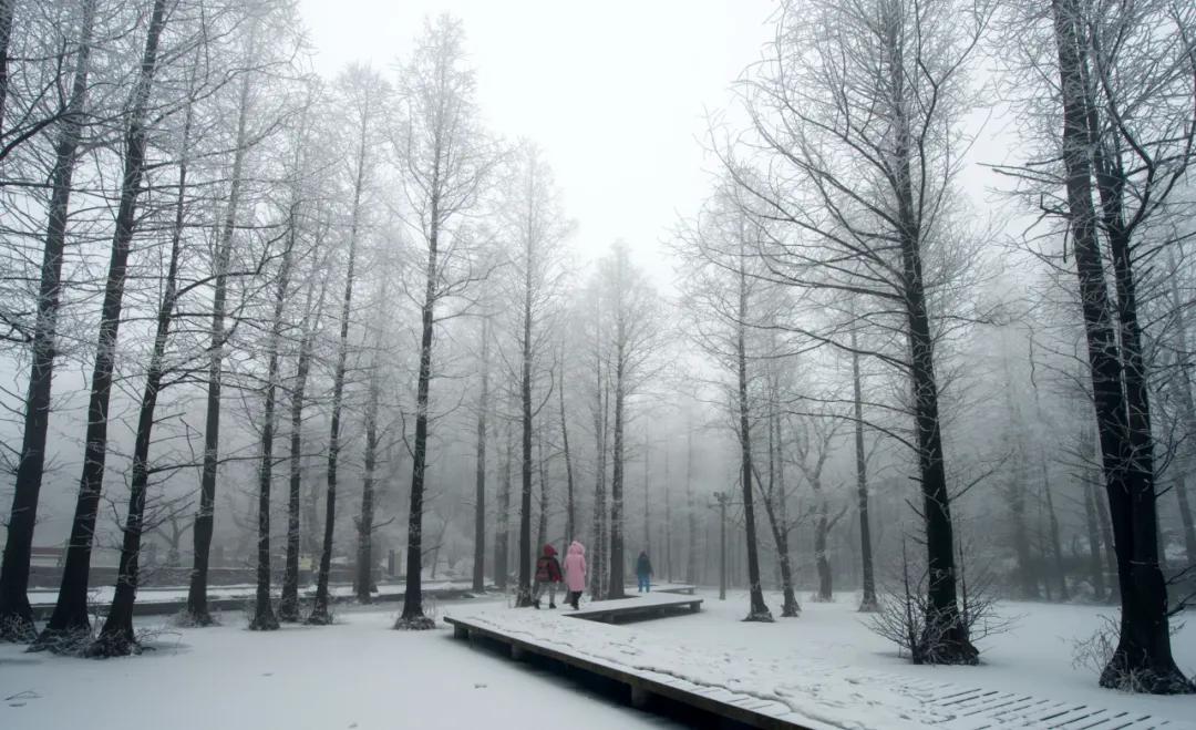 小寒|愿你三冬暖，许你春不寒