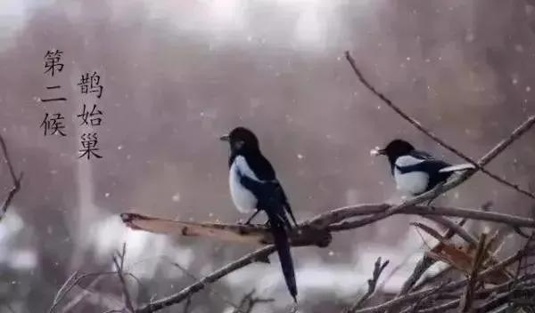 小寒|愿你三冬暖，许你春不寒