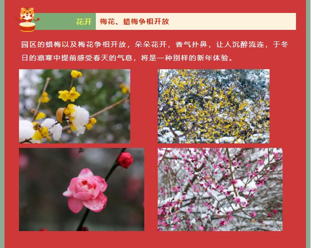 1月31日，郑州绿博园开园过大年！