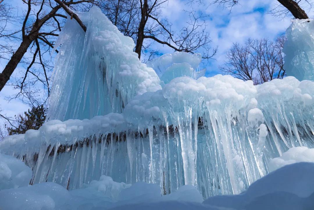开园公告丨雪落知寒意，陪伴见初心，我们不因寒冷放弃前行！