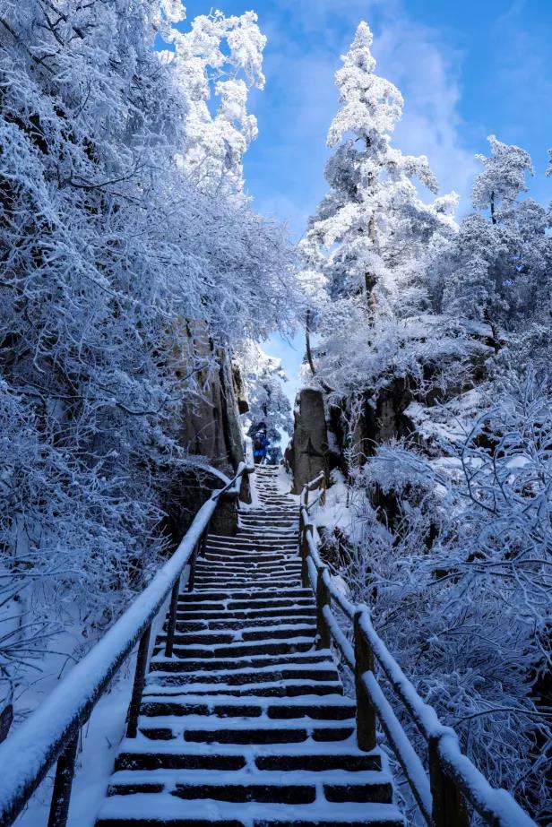 开园公告丨雪落知寒意，陪伴见初心，我们不因寒冷放弃前行！