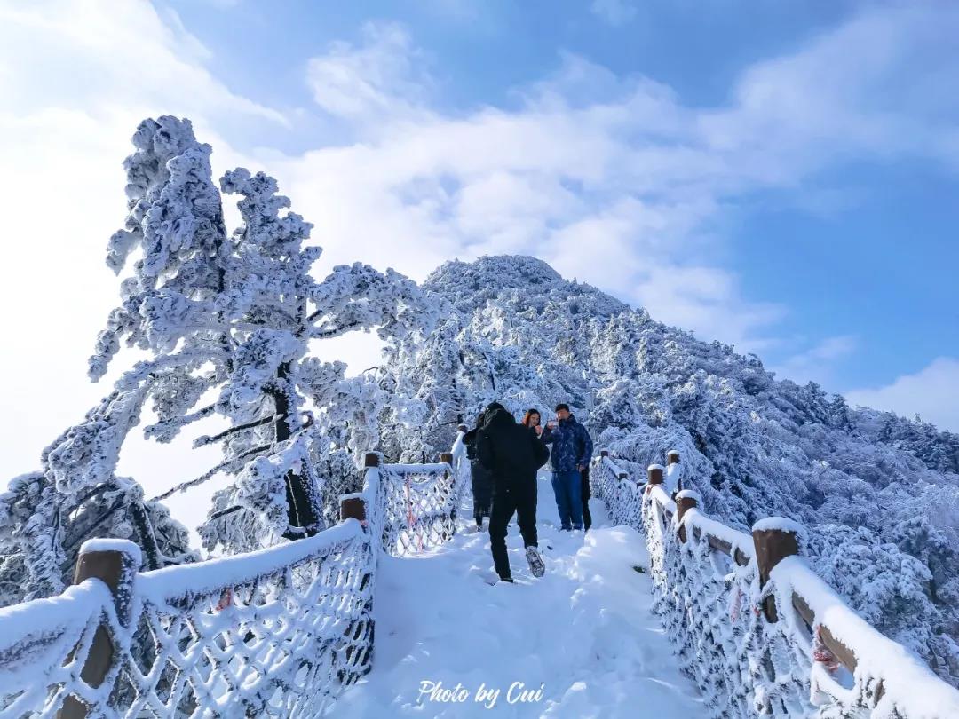 开园公告丨雪落知寒意，陪伴见初心，我们不因寒冷放弃前行！