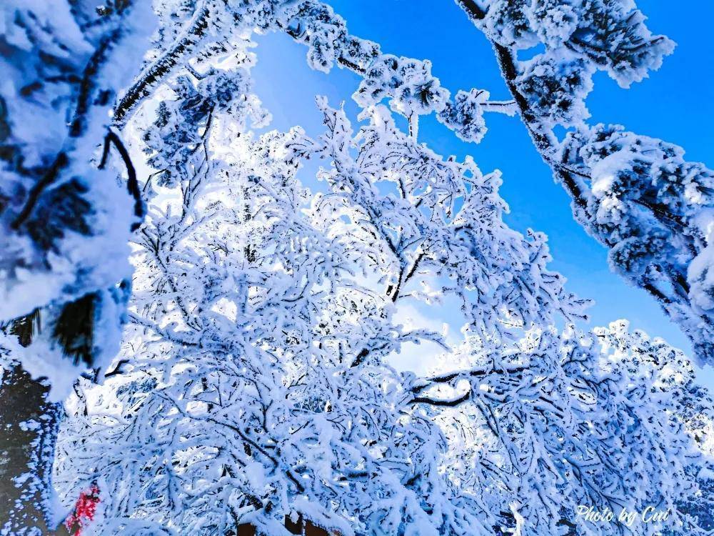 春节首选出游地!不出河南逛耍-10℃的冰雪王国,感受极致冬日美景! 春节首选出游地!不出河南逛耍-10℃的冰雪王国,感受极致冬日美景!