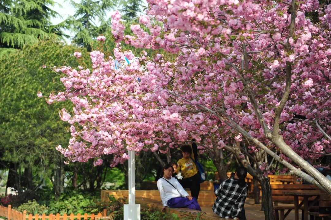 历寒冬，迎暖春，郑州绿博园免费畅游政策延长至3月31日