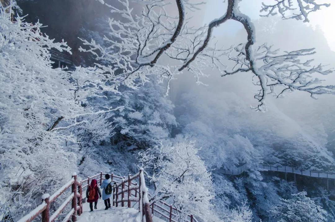 来老君山看雪，这些必打卡的拍照点还不赶快get起来！