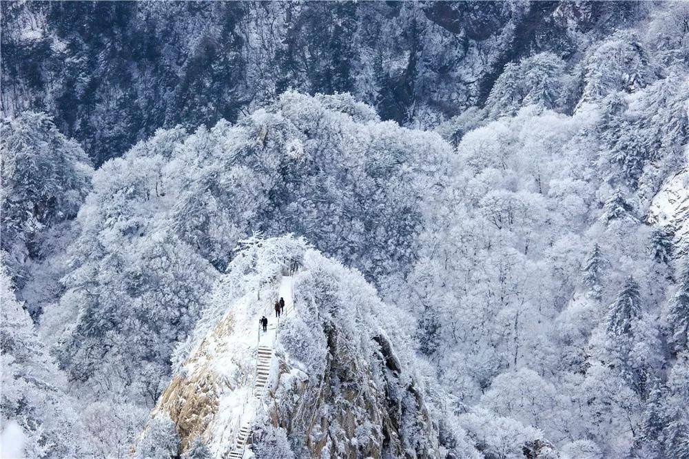 来老君山看雪，这些必打卡的拍照点还不赶快get起来！