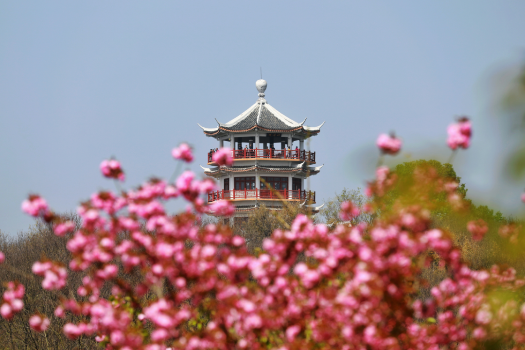 信阳市春季十大赏花线路，看看哪条适合你