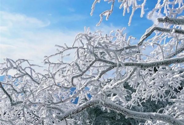 老君山：春雨贵如油，春雪值几何？