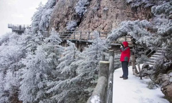 老君山：春雨贵如油，春雪值几何？