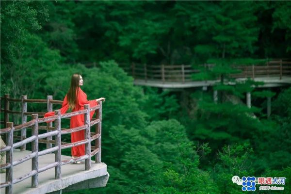 烏云遮不住太陽的升起　疫情擋不住老君山春天的來臨
