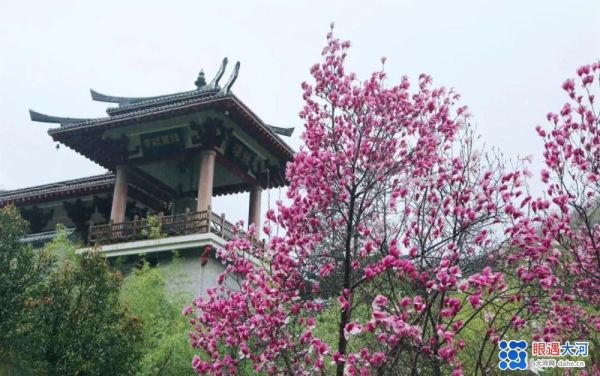 烏云遮不住太陽的升起　疫情擋不住老君山春天的來臨