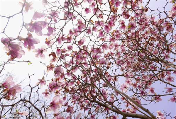 看，这个花花世界