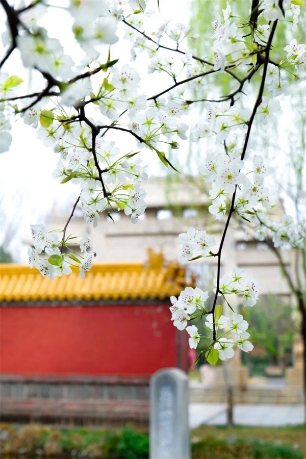 看，这个花花世界