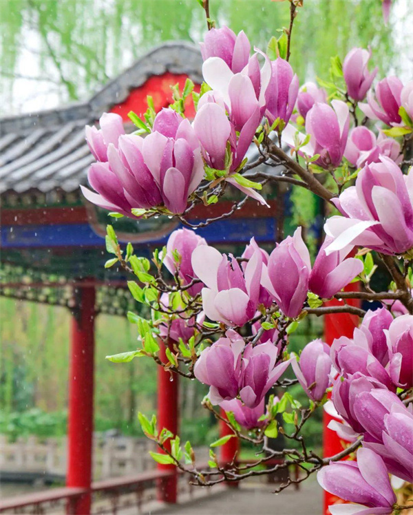 看，这个花花世界