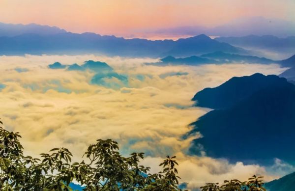 惊艳！来看看今天老君山霸屏的云海究竟有多美！