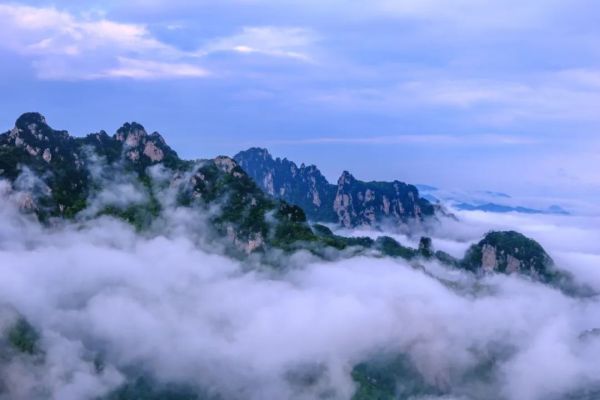 惊艳！来看看今天老君山霸屏的云海究竟有多美！