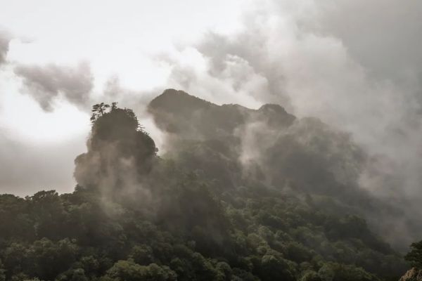 云雾起，山朦胧丨带你享受雨雾老君山“云”旅行