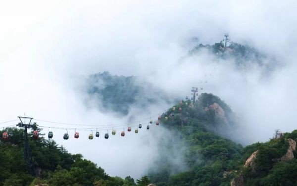 云雾起，山朦胧丨带你享受雨雾老君山“云”旅行