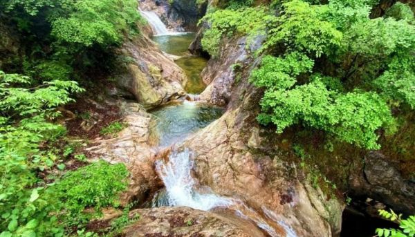 5·19中國旅游日，老君山任性免門票啦！