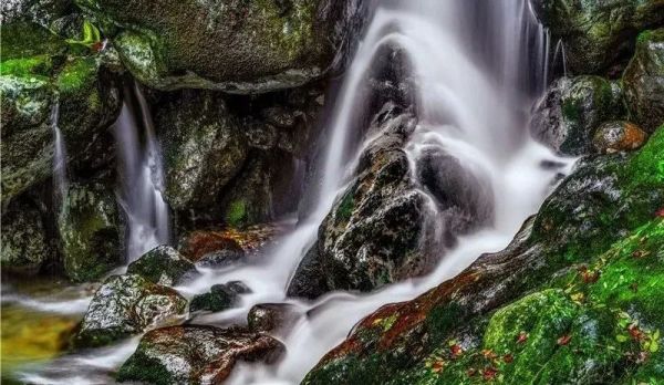 5·19中國旅游日，老君山任性免門票啦！