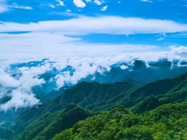 5.19 中国旅游日 |去看看自带滤镜的老君山！