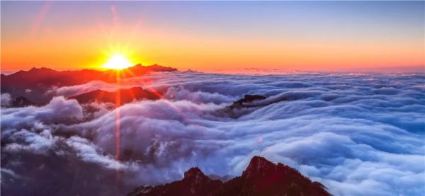 毕业狂欢季，青春不散场｜ 老君山景区诚邀高考生免费游览