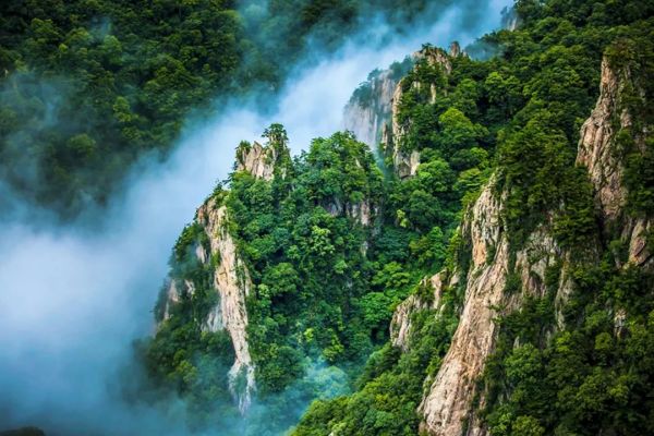 毕业狂欢季，青春不散场｜ 老君山景区诚邀高考生免费游览