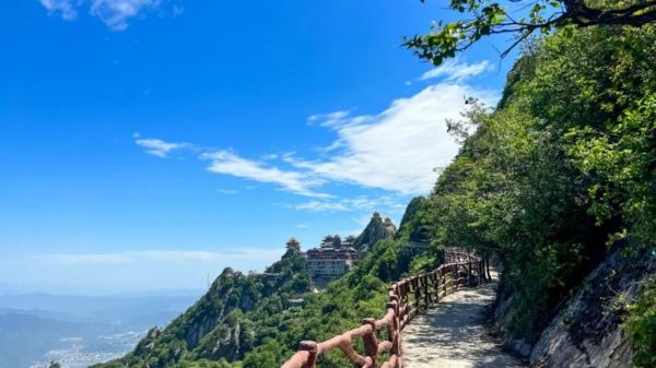 ​“河南热成了可南”！“凉朋友”老君山喊你来觅一处清凉