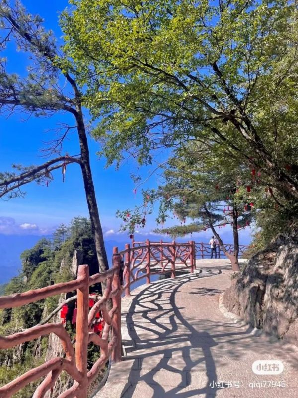 游客照系列NO.4 | 盛夏，来老君山就应该这么拍照！